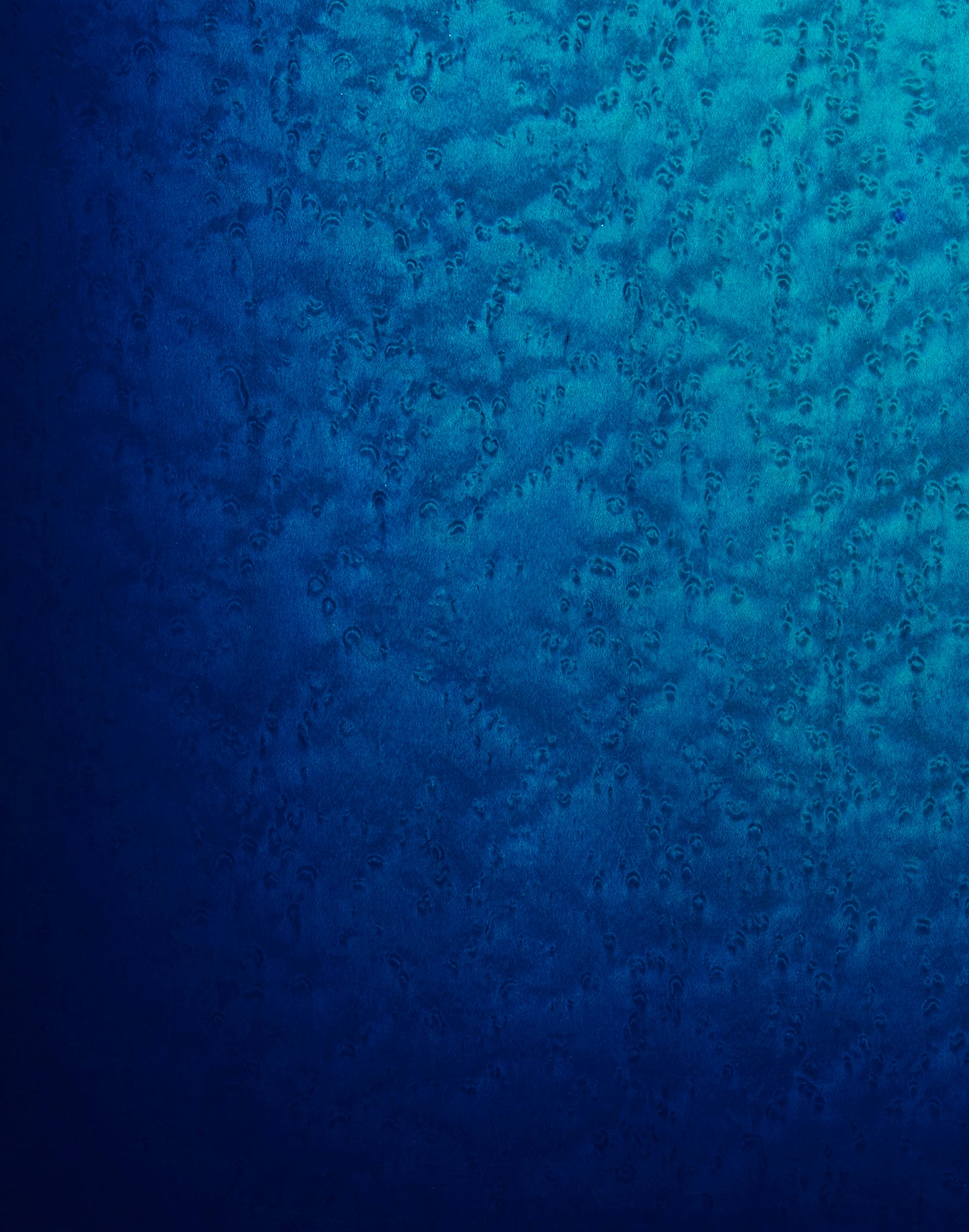 WAVE-ウェーブ-